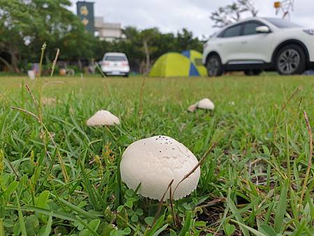 20210915_144410.jpg 20210915_144410.jpg