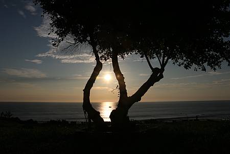 IMG_5728.JPG IMG_5728.JPG