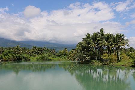 IMG_5767.JPG IMG_5767.JPG