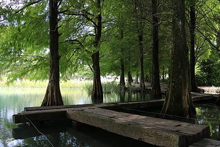 IMG_5859.JPG IMG_5859.JPG