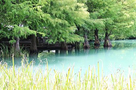 IMG_5797.JPG IMG_5797.JPG