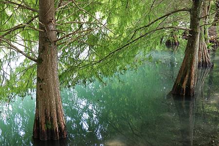 IMG_5876.JPG IMG_5876.JPG