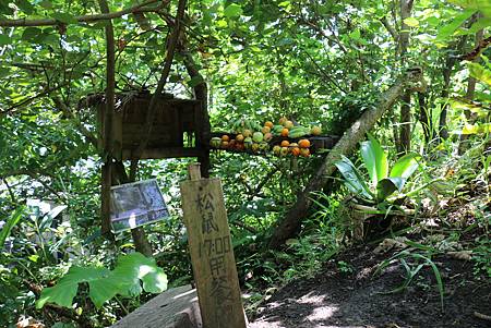 IMG_5931.JPG IMG_5931.JPG