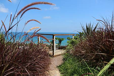 IMG_5982.JPG IMG_5982.JPG