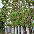 20220403_145111.jpg