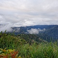 20220403_175251.jpg