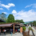 20221027_130433.jpg