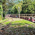20221027_125105.jpg