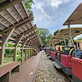 20221027_142020.jpg