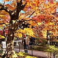 20231127_094930.jpg