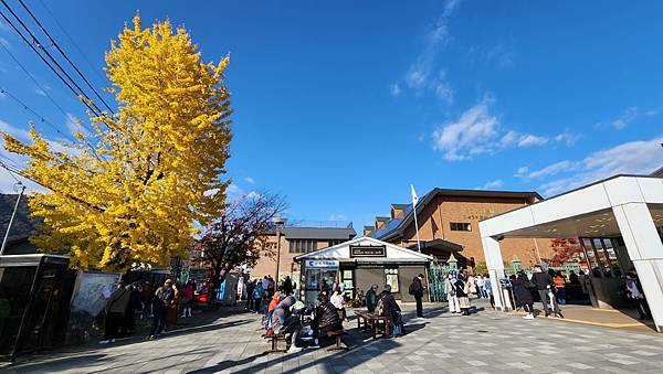 20231127_091445.jpg