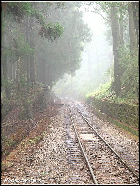 阿里山步道