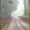 阿里山步道