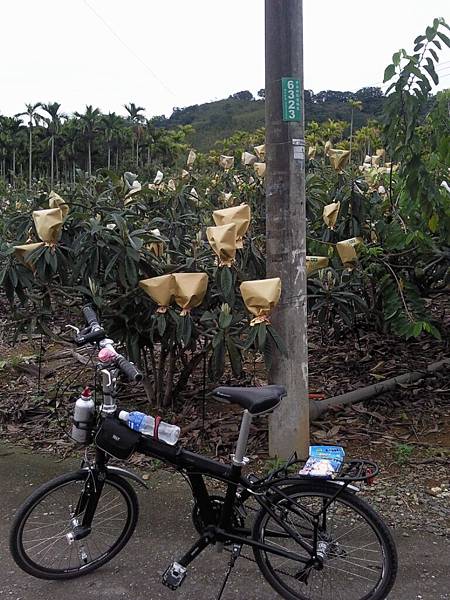 往山里-途中不知什麼園.jpg