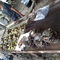 街邊賣螃蟹及蛤.jpg