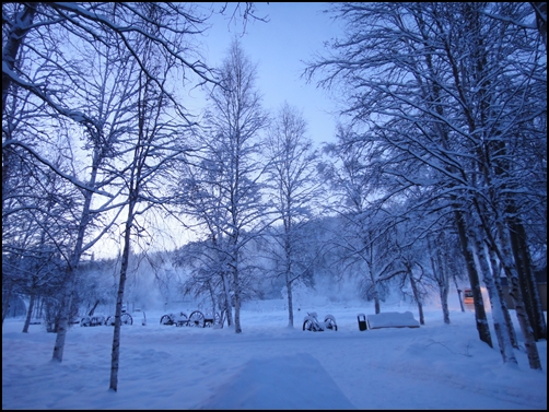 珍娜溫泉山莊內晨間風景2.jpg