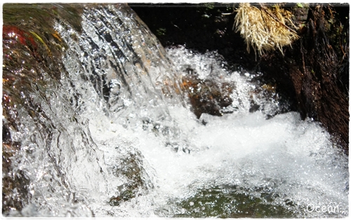 陽明山前山公園  小溪