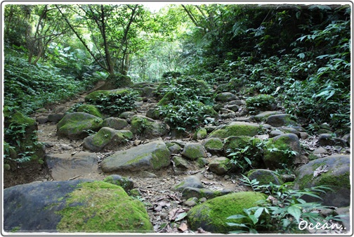 這也是要往前邁進的山路