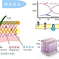 圖片7.jpg