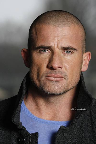 Dominic-3-dominic-purcell-5111271-1528-2291