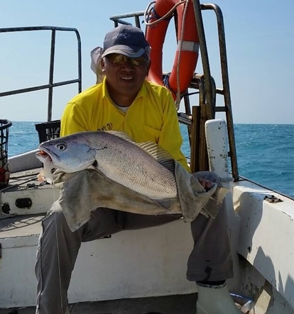 鮸魚pk大圓鱈 湧升的海鮮選擇 湧升海洋部落格 痞客邦 鮸魚pk大圓鱈 湧升的海鮮選擇 湧升海洋部落格 痞客邦