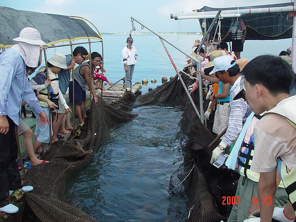 台灣海邊常見的網具 一 定置網 湧升海洋部落格 痞客邦
