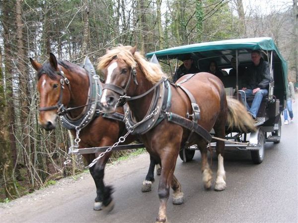 可以搭乘馬車上山...