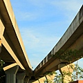 IMG_7432.JPG