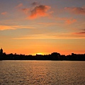 IMG_7978.JPG