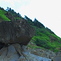 IMG_8155.JPG