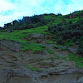 IMG_8157.JPG