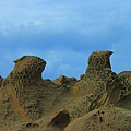 IMG_8163.JPG