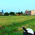 IMG_8402.JPG