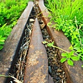 IMG_8414.JPG