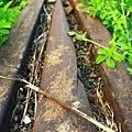 IMG_8416.JPG