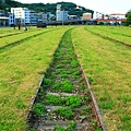 IMG_8420.JPG