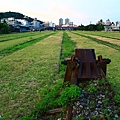 IMG_8459.JPG