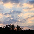 IMG_6463.JPG