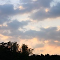 IMG_6481.JPG