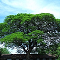 IMG_7273.JPG