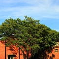 IMG_7425.JPG