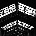 IMG_7402.JPG