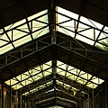 IMG_7401.JPG