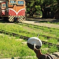 IMG_7350.JPG