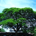 IMG_7258.JPG