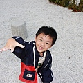 IMG_2910.JPG