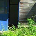 IMG_7321.JPG