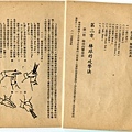 民國43年--國防部棒球初步 (8).jpg