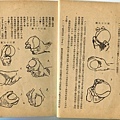 民國43年--國防部棒球初步 (16).jpg