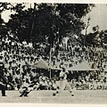44年民聲盃.jpg